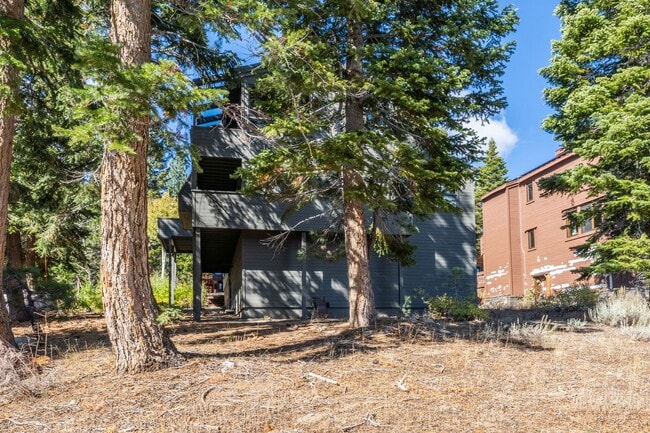 Photo - 283 Monterey Pine Rd