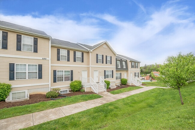 Photo - Copper Beech at Radford