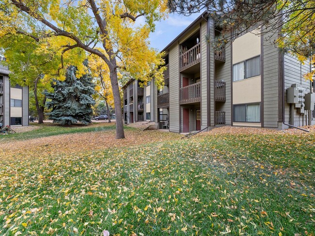 Great 2-Bed Condo in Prime Fort Collins Lo... - Great 2-Bed Condo in Prime Fort Collins Lo... Unit #532