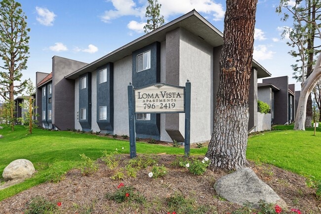 Photo - Loma Vista Apartments