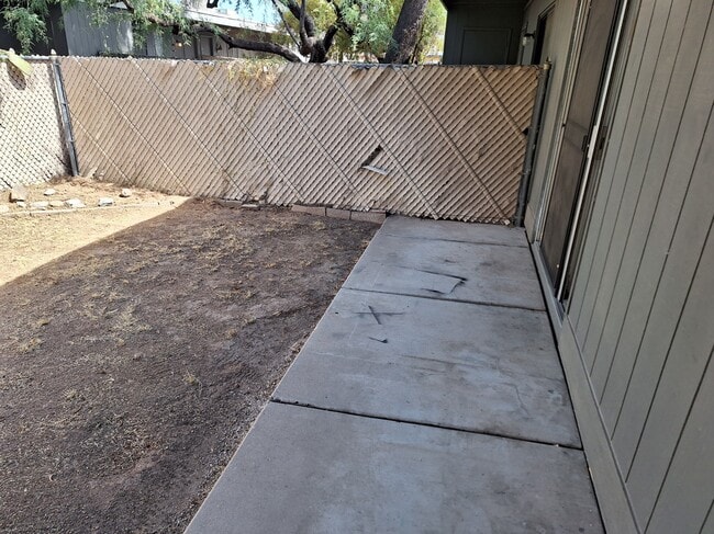Backyard