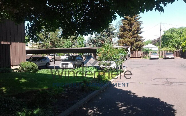 Photo - Cath364F10 - Trees Condominiums Unidad Cath364F10