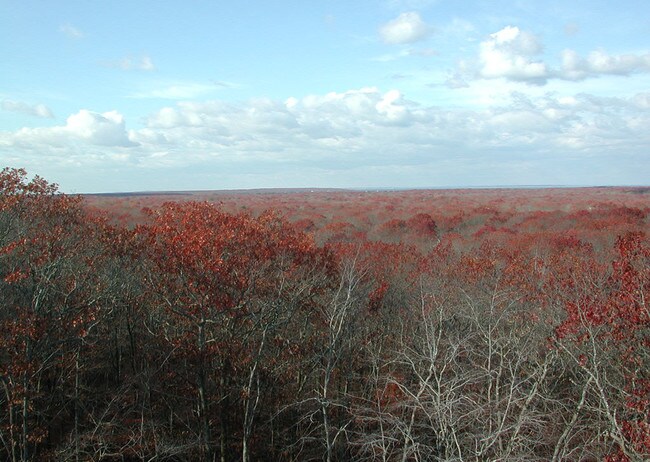 Photo - 25 Laurel Hill Ln