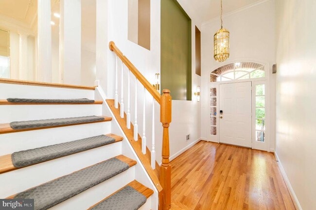 7704 Annandale Mains Ct