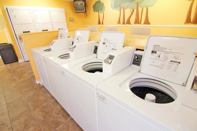 Photo - Gladstell Forest