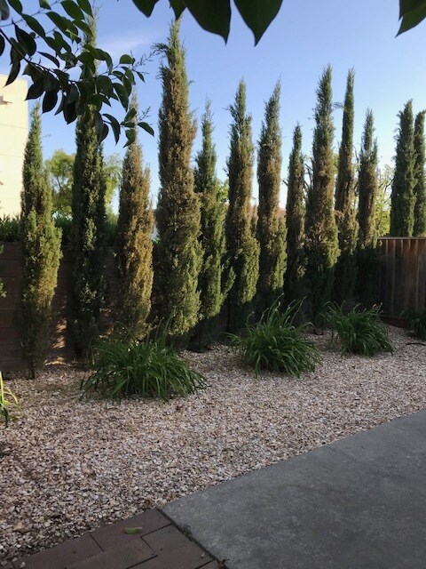 Photo - 1722 Clear Lake Ave