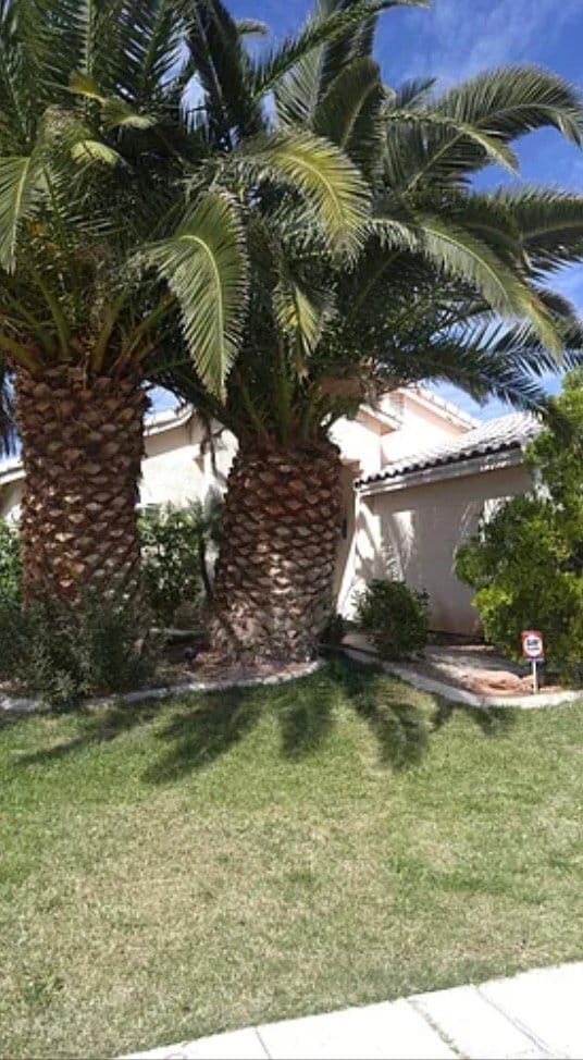 Photo - 6088 Bing Cherry Dr