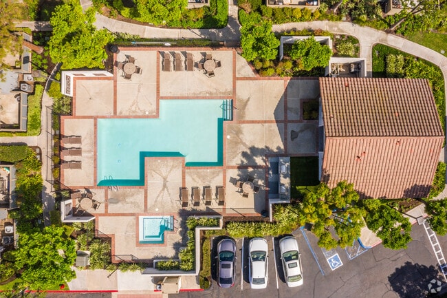 Pool and Spa