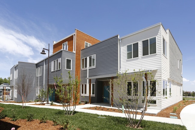 Kestrel Mixed Age Community - Kestrel Mixed Age Community