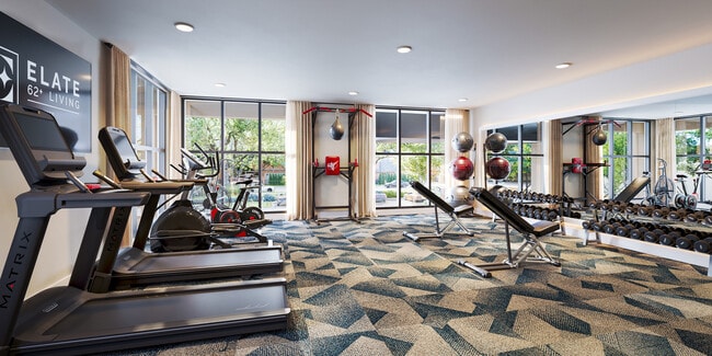 Gimnasio - Elate Bent Tree