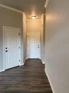 Photo - 3517 Seymour Ct