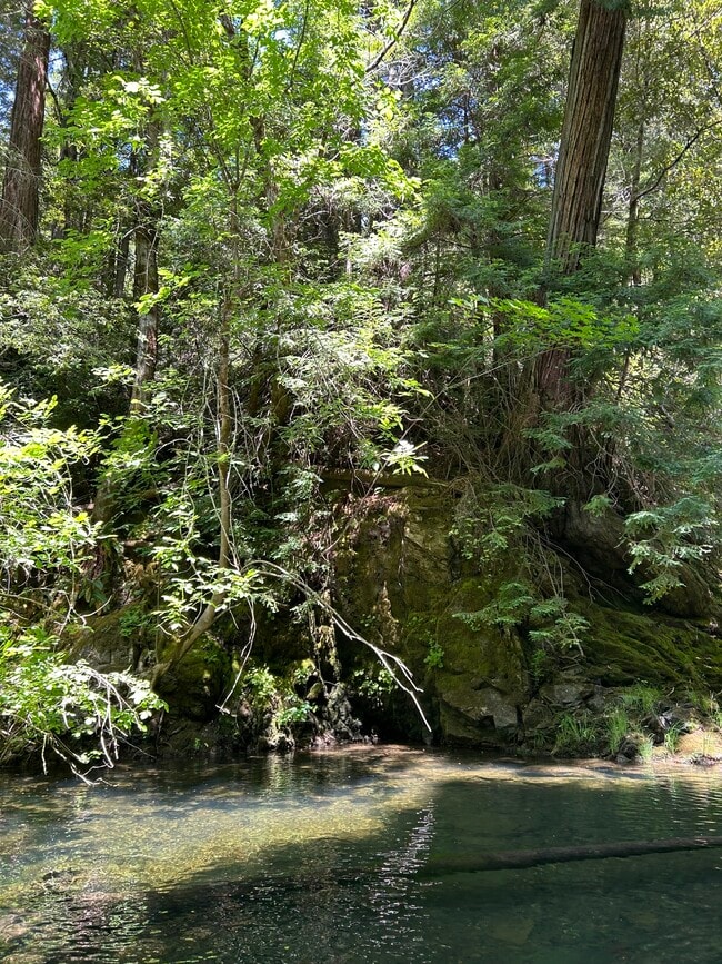 Photo - 41500 Wilderness Lodge Rd