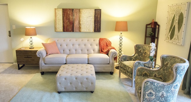 Photo - Windmill Chase