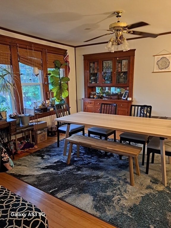 Photo - 40 Ames St Unidad 3