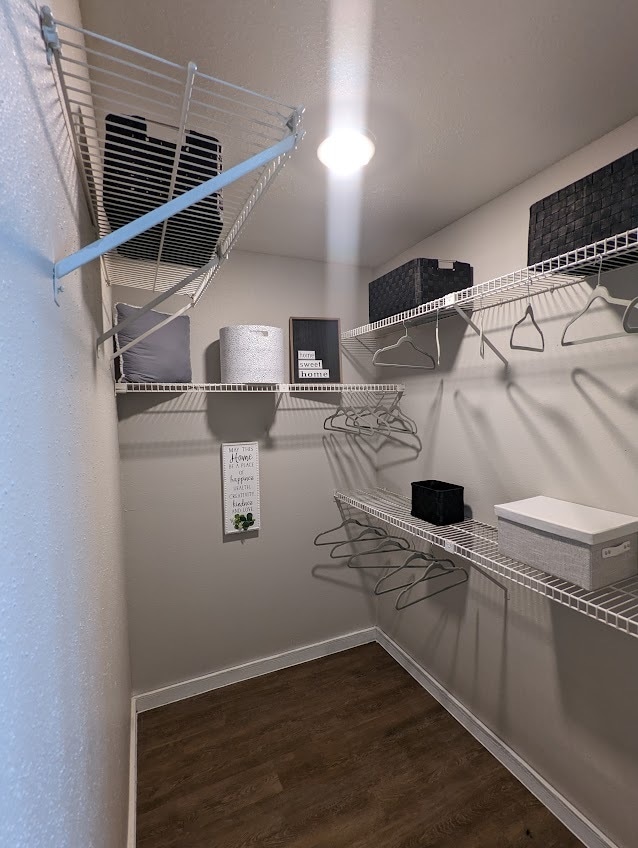 Walk-in Closet - Upgraded Unit