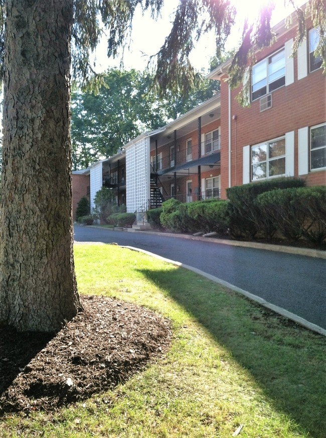 Building Photo - 393 Grove St Unit 16 Rental