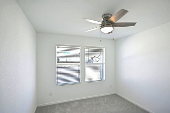 Photo - 1805 Stonechat