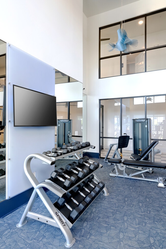 Brea Wendell Falls Apartments For Rent in Wendell, NC