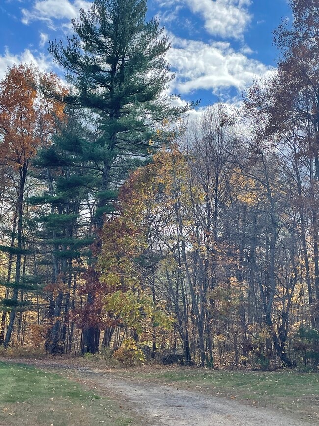 Photo - 86 Buff Cap Rd