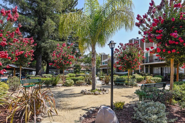 Photo - Town & Country Apartments