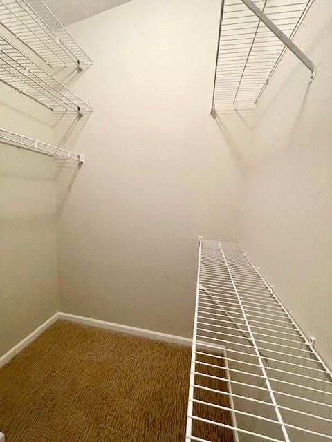 Primary closet - 6401 Cameron Ln Unit 310