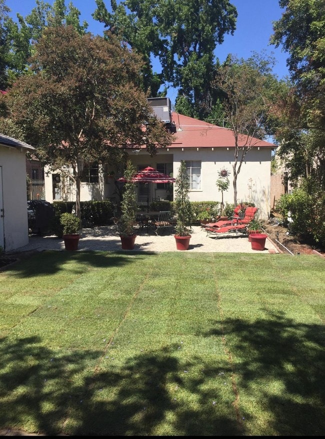 backyard