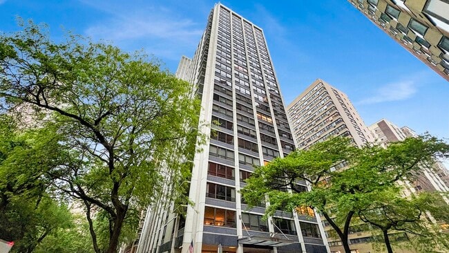 Building Photo - 222 E Pearson St Unit 406