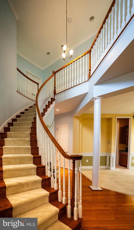 Photo - 9571 Linnett Hill Dr