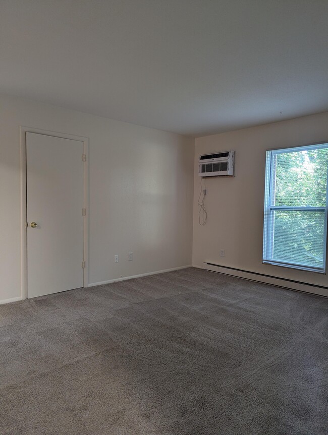 Photo - Violet Trace