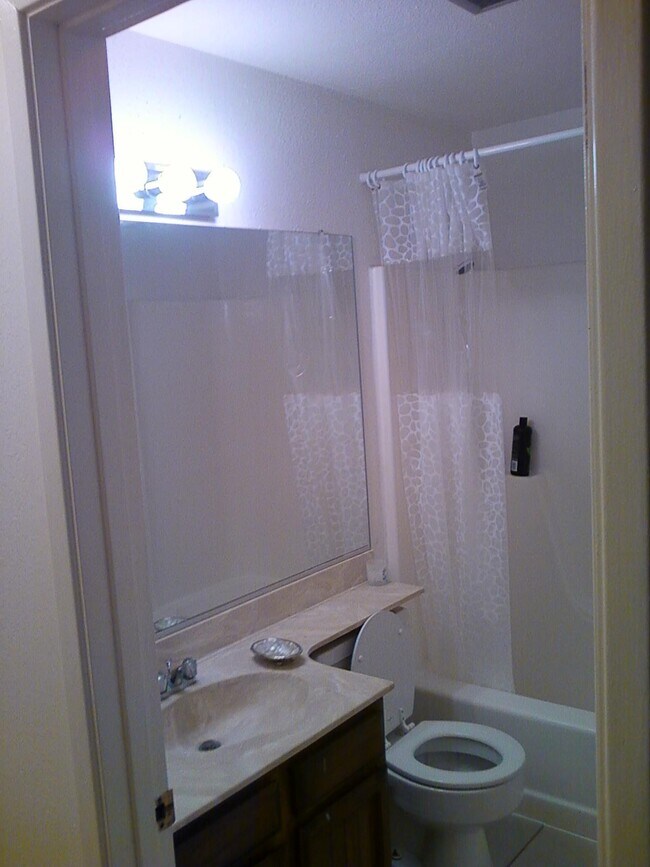 Bathroom 1 - 2129 Ascot Dr Unit 19