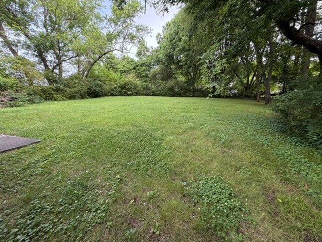 Photo - 2 Bed 1 Bath Duplex
