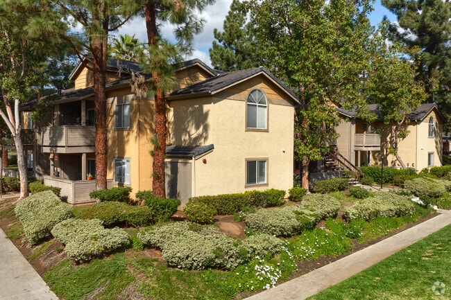 Felicita Creek Apartments