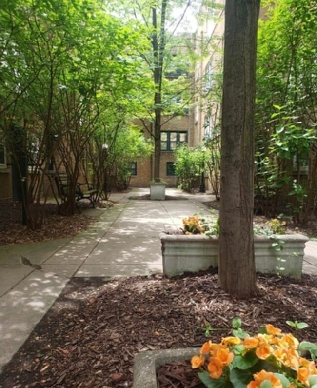 Building Photo - 685 W Wrightwood Ave Unit 1S