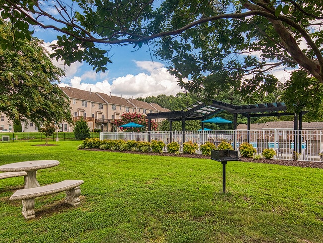 Grill and picnic area