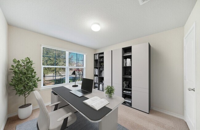 Photo - 15502 Gray Catbird