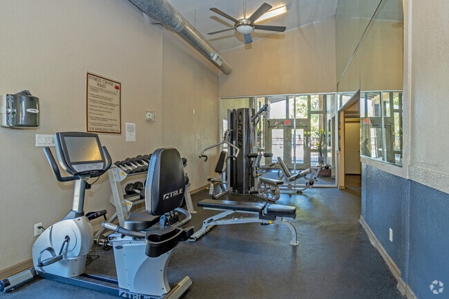 Gimnasio