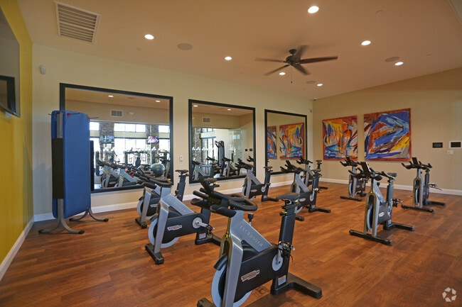 Gimnasio