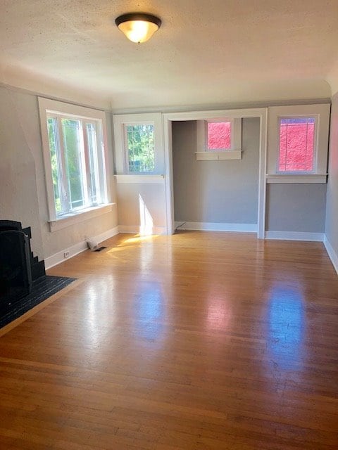 Photo - Madrona Charmer!