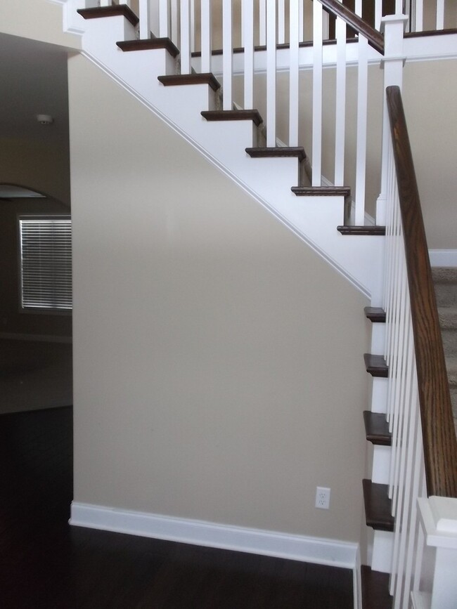 Photo - Absolutely Gorgeous!