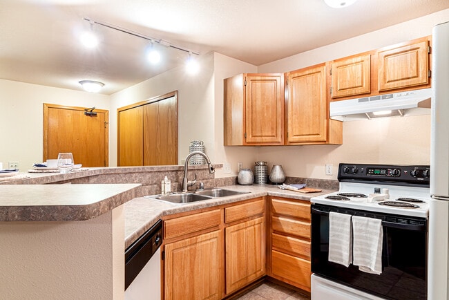 1BD Dawn- Kitchen