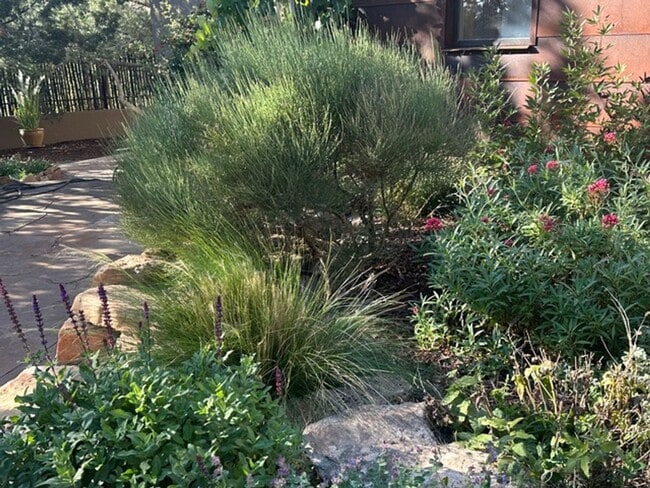 Photo - Turnkey Northside Casita in a Garden Setting