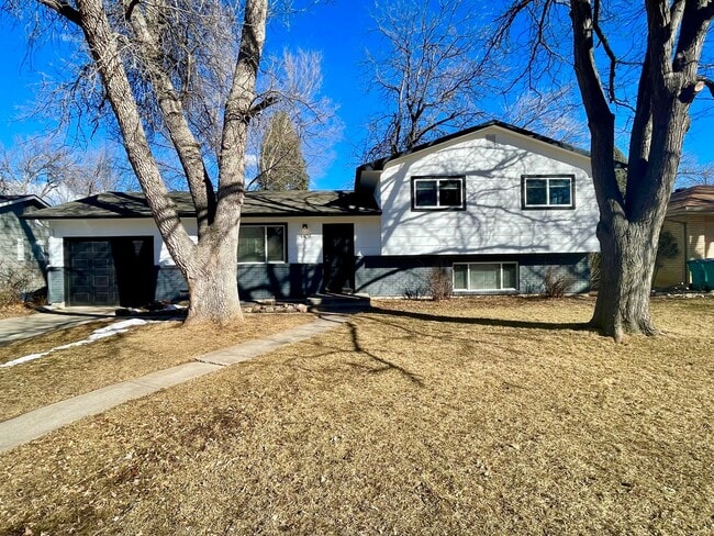 Building Photo - Newly Renovated 4 Bed 2 Bath House Near CSU!