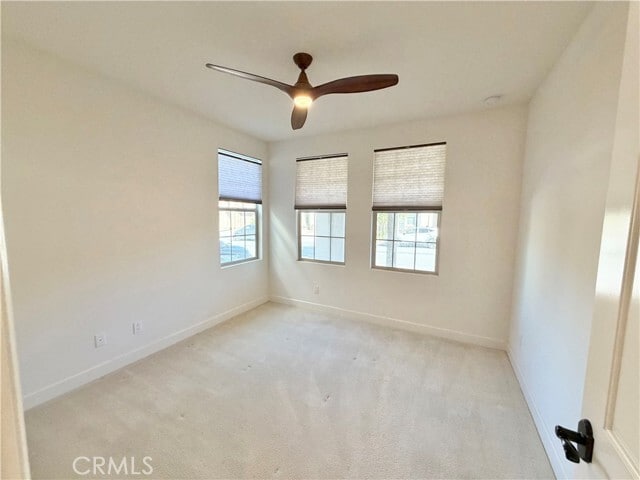 110 Briar Rose