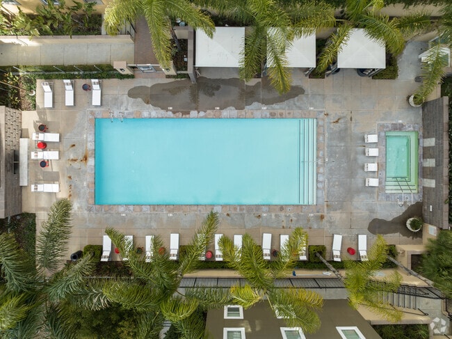 Community Pool Area