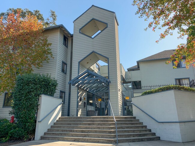 Building Photo - Perfect blend of convenience and comfort 2/2 San Mateo Unit 8