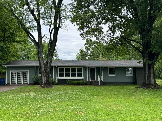Building Photo - 4 BD 2.5 BA Modern Home in Martin!
