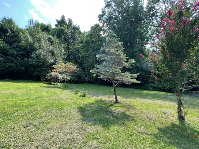 Photo - COMMUTERS DREAM!  PRIVATE ACREAGE STAFFORD AND MINUTES TO VRE