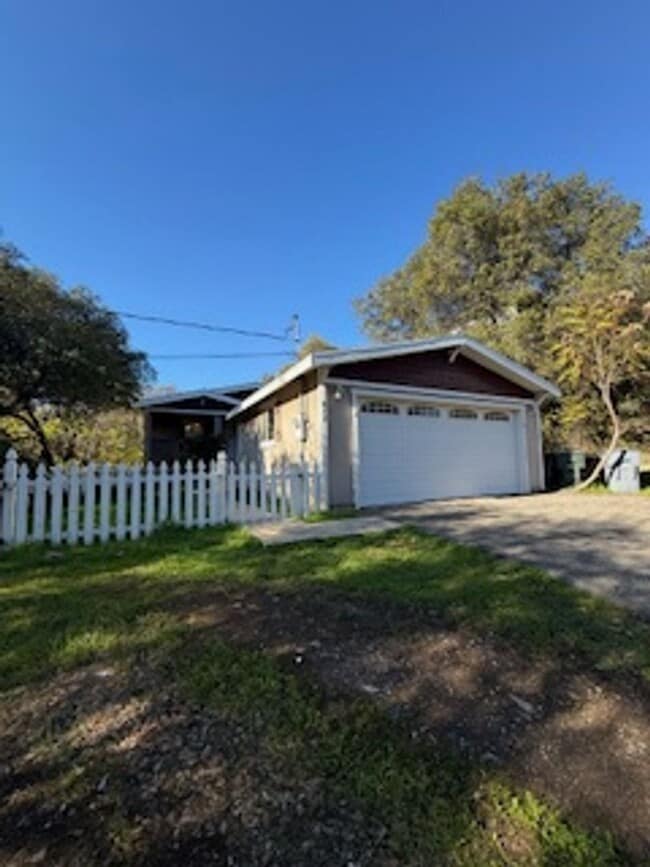 Photo - Auburn Cutie