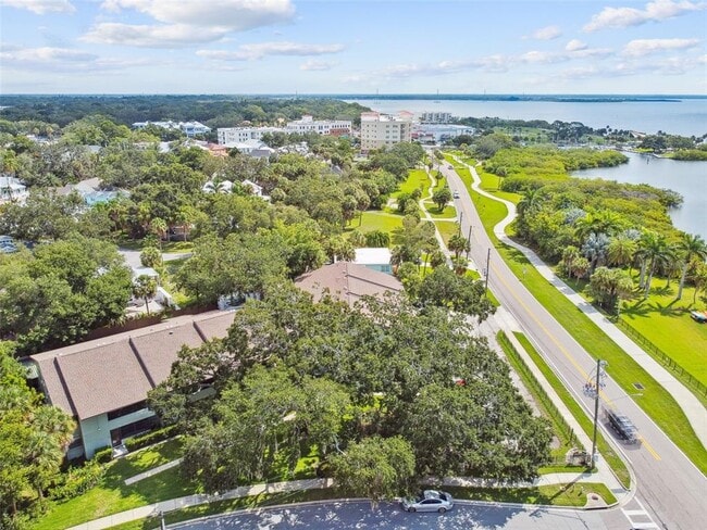 Building Photo - 411 S Bayshore Blvd Unit 2 Rental