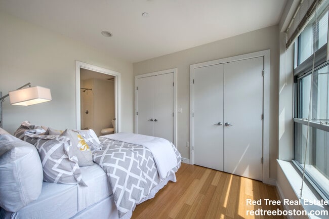 Building Photo - 601 Albany St Unit 607 Rental